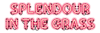 logo-splendour-in-the-grass-e1731376682253